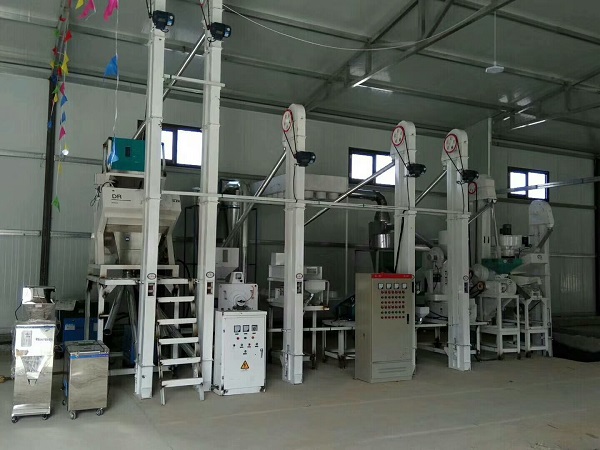 人員操作小麥制粉設備時哪些行為造成加工出面粉質量低(圖1)