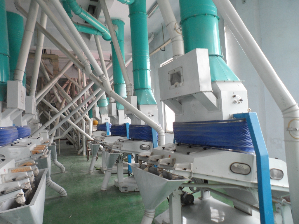 玉米加工機(jī)械為什么要脫胚？